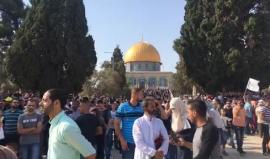 #شاهد #مباشر المرابطون يدخلون المسجد الاقصى ويكسرون قرار الاحتلال باغلاق باب حطة احد ابواب الاقصى
ويطالبون بحذف قائمة الاحتلال التي تمنع المرابطات من الدخول للاقصى