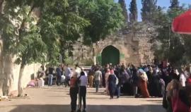 #مباشر.. المقدسيون يؤدون صلاة العصر على أبواب المسجد الأقصى المغلق من قبل قوات الاحتلال