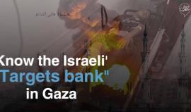 For more information from Palestine like our Page
تابعوا صفحتنا باللغة الانجليزية