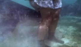 #شاهد القرش يلتهم البشر .. فيديو يُظهر أخطر حوادث البحار في 2016 !
