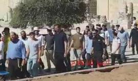 #شاهد مستوطنون يستبيحون ساحات المسجد الاقصى المبارك