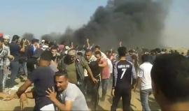 #شاهد
مشاهد من مسيرة العودة الكبرى شرق قطاع غزة في الجمعة السابعة
#جمعة_النذير
تصوير إبراهيم المدهون