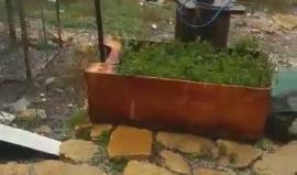 امطار غزيرة في رام الله 

تصوير: عماد عطيات