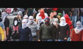 #شاهد | "الفرس الخيالة" - بيت فجار