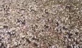 مشهد من مكة المكرمة في إحياء ليلة القدر أمس