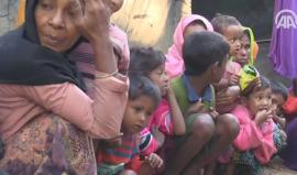 مسلمو أراكان.. الفرار من الموت إلى الموت
(وكالة الأناضول)