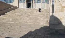 #مباشر .. تكبيرات العيـد من المسجد الاقصـى بالعاصمة الفلسطينية المحـتلة .