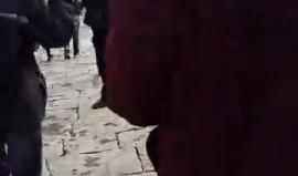 #شاهد مستوطنون يستبيحون المسجد الأقصى المبارك