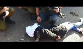 #شاهد #كليب " بنت الأصايل" للأسيرات الفلسطينيات في سجون الاحتلال . 

#يوم_الأسير