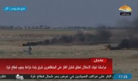 #شاهد #مباشر مسيرات غضب على طول الحدود الشرقية لقطاع غزة رفضا للحصار