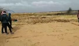 #مباشر شبان فلسطينين يحرقون اطارات شرق خانيونس 
تصوير عبد الرحمن الكحلوت