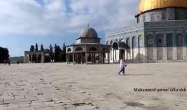 #شاهد باحات المسجد الأقصى المبارك هذه اللحظات
تصوير:محمد قاروط ادكيدك