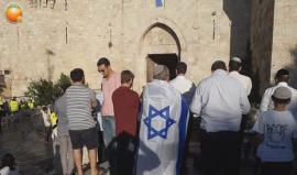 #شاهد مستوطنون يهود يؤدون طقوسا تلمودية امام باب العامود بالقدس المحتلة تدعو لسرعة إزالة المسجد الأقصى المبارك وبناء هيكلهم المزعوم .