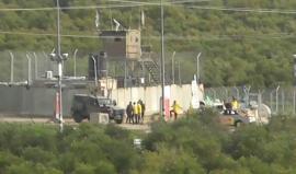 #شاهد | قطيع من المستوطنين بحماية قوات الاحتلال يؤدون طقوساً تلمودية على مدخل بلدة تقوع شرق بيت لحم.