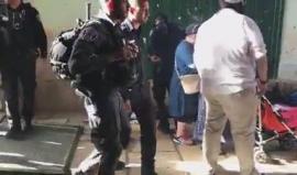 #شاهد مستوطنون يقتحمون المسجد الأقصى المبارك ويؤدون طقوسا تلمودية على بواباته بحماية أمنية