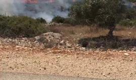 حرائق جديدة قبل قليل في الأحراش والمستوطنات المحاذية لقطاع غزة بفعل الطائرات التي يطلقها الشبان .