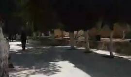 #بث_مباشر: الطريق من باب الأسباط وصولا إلى المسجد الأقصى المبارك 

تصوير: هشام أبو سنينة