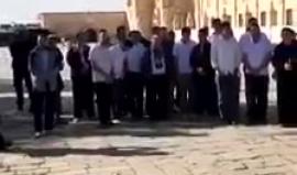 #فيديو مستوطنون يؤدون صلوات تلمودية في باحات المسجد الاقصى