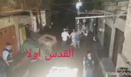 #شاهد رقصات استفزازية للمستوطنين امام ابواب المسجد الاقصى