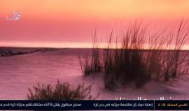 #مباشر حلقة خاصة للحديث عن تداعيات قرار المحكمة الدستورية برام الله إعطاء الرئيس عباس صلاحية رفع الحصانة عن أعضاء المجلس التشريعي