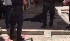 #شاهد إصابة شرطي اسرائيلي في الجزء العلوي من الجسم في عملية طعن قرب باب السلسلة بالقدس المحتلة وإطلاق النار على المنفذ