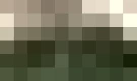 اندلاع حريق كبير في منطقة ساحل عسقلان بفعل بالون حارق أطلق من شمال قطاع غزة