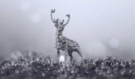 ببرادة الحديد والمغناطيس ... أشكال فنية رائعة