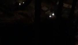 #شاهد 
اقتحام قوات الاحتلال لعمارة المها في مدينة #الخليل والتي تضم عدة مكاتب لفضائيات فلسطينية