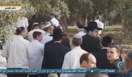 #شاهد عشرات المستوطنين يقتحمون الأقصى تزامنا مع أعيادهم