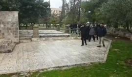 #شاهد مستوطنون يقتحمون المسجد الأقصى المبارك بحماية أمنية مشددة