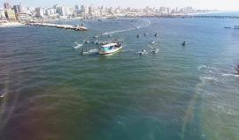 #شاهد
 تظاهرة بحرية إنطلاقاً من ميناء #غزة عصر اليوم، رفضاً للجريمة الإسرائيلية بحق أسطول الحرية الخامس، وللتأكيد على حقنا في الصيد في المياه الإقليمية، ورفضاً للمنطقة العازلة أمام الصيادين شمال القطاع