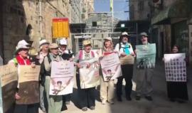 فرقة موسيقية سكوتلندية تتتضامن مع الأسرى المضربين عن الطعام على مدخل شارع الشهداء وسط الخليل بالتنسيق مع تجمع شباب ضد الاستيطان .