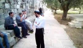 #شاهد المستوطنون يقتحمون الأقصى ويتلقون شروحات في باحاته