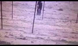 #شاهد
جندي من قوات الاحتلال يهرب بواسطة دراجه هوائيه بعد سرقتها في مواجهات مدخل أريحا الجنوبي اليوم.