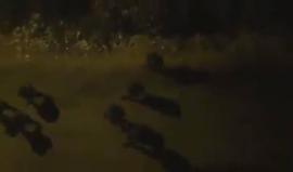 #شاهد لحظة اقتحام قوات الاحتلال لقيزون في مدينة الخليل ومداهمة عددا من المنازل.
