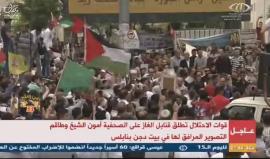 #شاهد #مباشر مسيرة في الخليل دعما للأسرى المضربين منذ 33 يوما في سجون الاحتلال