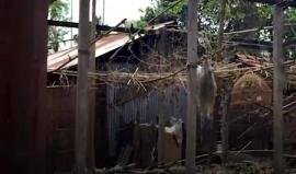 7 مليون مسلم سيبقون بلا وطن تحت مسمى "الهجرة الغير شرعية" 

#الهند | فيديو: yenisafak