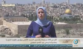 #مباشر مئات المستوطنين يقتحمون المسجد الأقصى ويؤدون طقوسا تلمودية عند حائط البراق