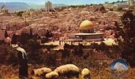 فيديو.. نشطاء مسلمون يطلقون نداء الأذان مناصرة للأقصى

أطلق نشطاء عرب ومسلمون (نداء الاذان من فوق اسطح وشرفات المنازل في البلدان الاسلامية)، وذلك فجر يوم الجمعة القادم.

وتأتي الفعالية تضامنا مع الفلسطينيين في القدس وفلسطين ، ورداً على محاولات الاحتلال ال