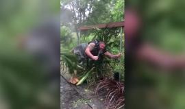 #شاهد كيف رد الأمريكيون على المراسل المخادع!