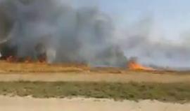 #شاهد اشتعال النيران هذه اللحظات في حقول المستوطنين بالداخل المحتل شرق غزة بفعل الطائرات الورقية الحارقة