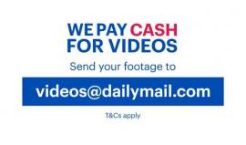 موقف طريف في الصيب

#ترفيه