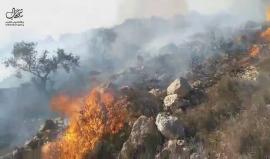 #شاهد .. اشتعال حرائق في الأحراش ما بين عاصيرة وعوريف جنوب نابلس .