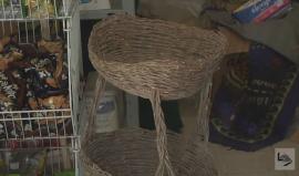 أصابع الزوان
 فاطمة إبراهيم - وفا 

كنت كلما شممت رائحة "الطوابين" المتقدة؛ تعمقت في ذاكرتي صورة جدتي تحمل على رأسها سلة مستديرة تخرج بها من جانب سور الطابون المحاذي لساحة منزلها العتيق، تدس فيها أصنافاً من الأطعمة التي حضرتها لتطعمها للصغار وكنت منهم.

ي