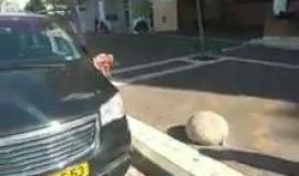 #شاهد متطرف يهودي يطعن فلسطيني 40 عاما في مدينة اسدود المحتلة