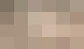 #شاهد مستوطنون يقتلعون عشرات أشتال الزيتون ويدمرون أشجارا معمرة بقرية رأس كركر غرب رام الله.
 تصوير: محمود سمحان