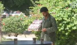 تقرير| 361 الف عاطل في قطاع غزة والضفة الغربية
(فلسطين اليوم)