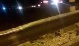 #شاهد | قوات الاحتلال تعتدي على شاب على مدخل بلدة النبي صالح قضاء رام الله.