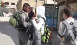 #شاهد كيف نكل جنود الاحتلال بطفل فلسطيني خلال توجهه لمدرسته في مدينة الخليل اليوم

(نشطاء)