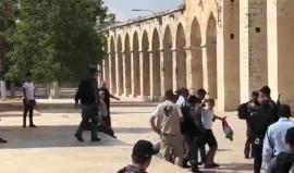 #فيديو قوات الاحتلال تعتقل شاب فلسطيني رفع علم فلسطين عند باب السلسلة بالمسجد الأقصى